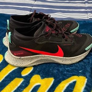 Nike Men's Pegasus Trail 3 GORE-TEX Trail Running Shoes.